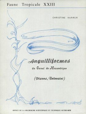 Anguilliformes du Canal de Mozambique