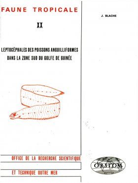 Leptocephales des Poissons Anguilliformes Dans la Zone Sud du Golfe de Guinee