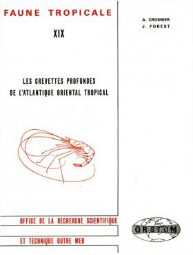 Les Crevettes Profondes Atlantique Oriental Tropical