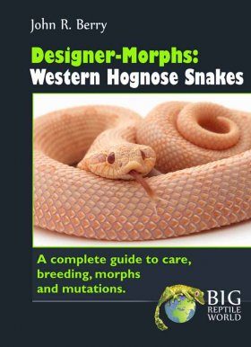 Designer-Morphs: Western Hognose Snakes