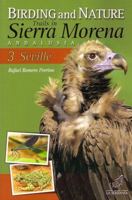 Birding and Nature Trails in Sierra Morena, Andalusia 3. Seville