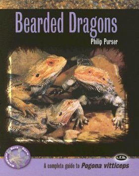 Bearded Dragons