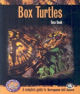 Box Turtles