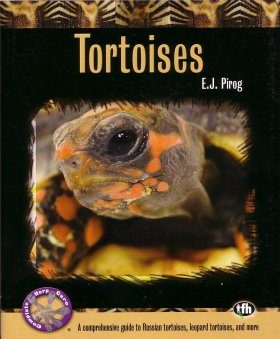 Tortoises: A Comprehensive Guide to Russian Tortoises, Leopard Tortoises, and More