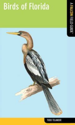 Birds of Florida