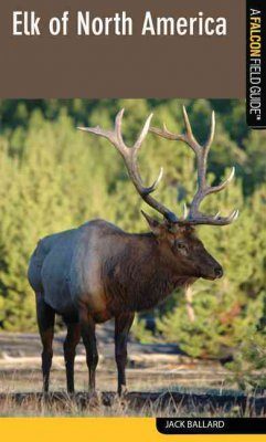 Elk