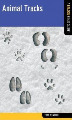 Animal Tracks