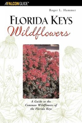 Florida Keys Wildflowers