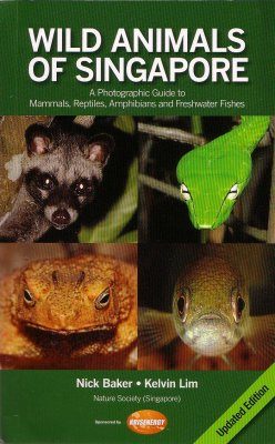 Wild Animals of Singapore