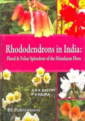 Rhododendrons in India