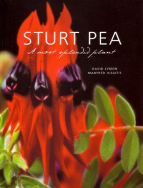 Sturt Pea