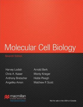 Molecular Cell Biology
