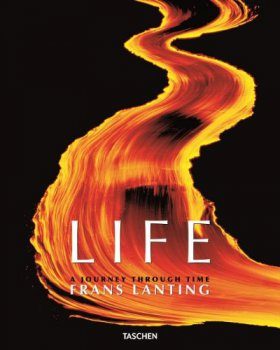 Life: A Journey Through Time