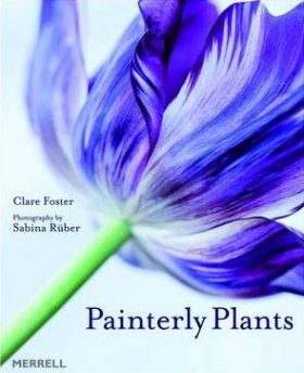 Painterly Plants