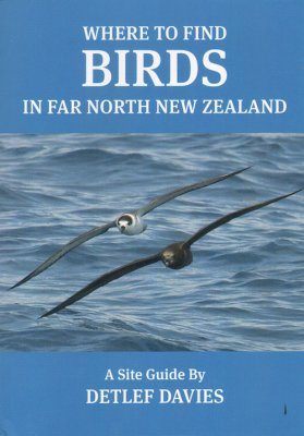 Where to Find Birds in Far North New Zealand