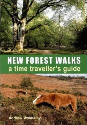New Forest Walks