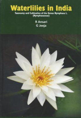 Waterlilies in India