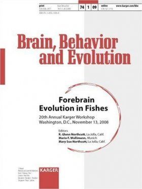 Forebrain Evolution in Fishes