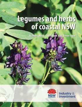 Legumes and Herbs of Coastal NSW