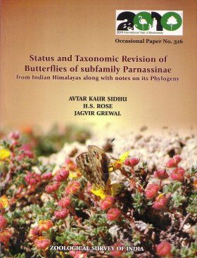 Status and Taxonomic Revision of Butterflies of Subfamily Parnassinae from Indian Himalayas Along With Notes on its Phylogeny
