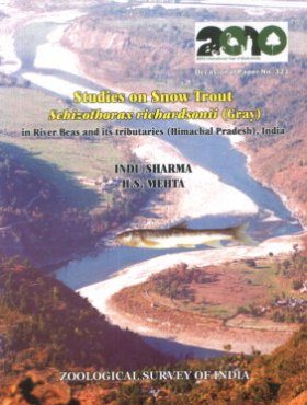Studies on Snow Trout Schizothorax Richardsonii (Gray) in River Beas and its Tributaries (Himachal Pradesh), India