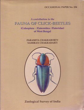 A Contribution to the Fauna of Click-Beetles