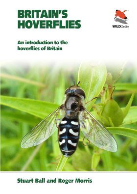 Britain's Hoverflies