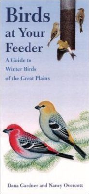 Birds at Your Feeder
