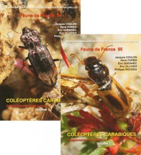 Faune de France, Volumes 94 and 95: Coléoptères Carabiques (2-Volume Set)