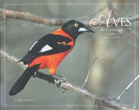 Birds of the Caatinga / Aves da Caatinga