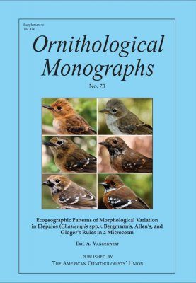 Ecogeographic Patterns of Morphological Variation in Elepaios (Chasiempis spp.)