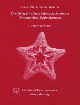 The Phylogeny of Post-Palaeozoic Asteroidea (Echinodermata, Neoasteroidea)