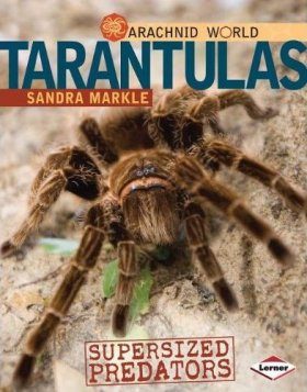 Tarantulas: Supersized Predators