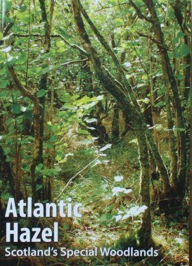Atlantic Hazel