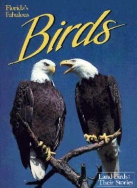 Florida's Fabulous Birds: Land Birds