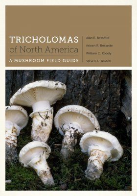 Tricholomas of North America