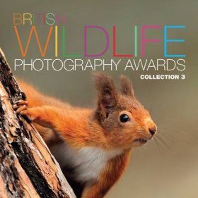 British Wildlife Photography Awards, Collection 3