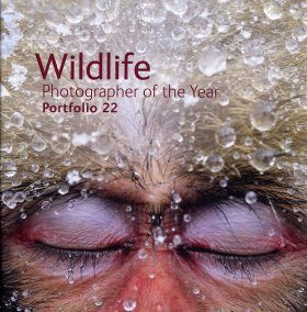 Wildlife Photographer of the Year, Portfolio 22