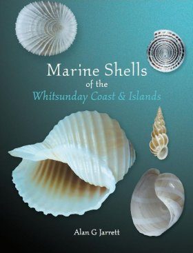 Marine Shells of the Whitsunday Coast and Islands