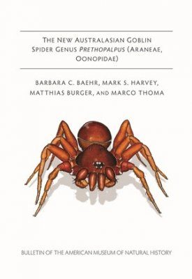 The New Australasian Goblin Spider Genus Prethopalpus (Araneae, Oonopidae)