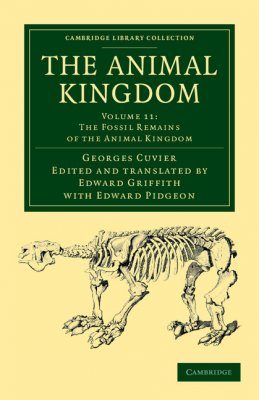 The Animal Kingdom, Volume 11
