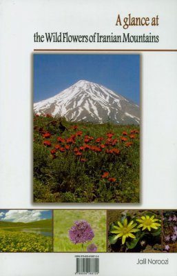 A Glance at the Wildflowers of Iranian Mountains