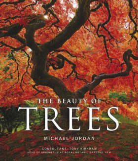 The Beauty of Trees