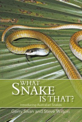 What Snake is That?