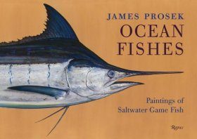 Ocean Fishes