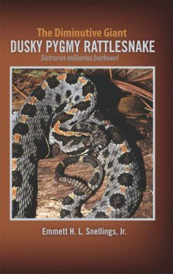 The Diminutive Giant Dusky Pygmy Rattlesnake