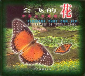 Butterflies of Yunnan, China