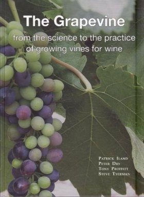 The Grapevine