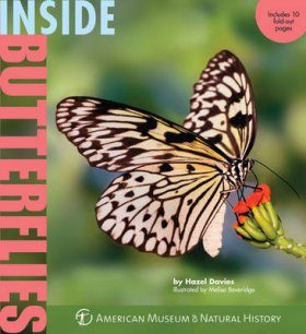 Inside Butterflies