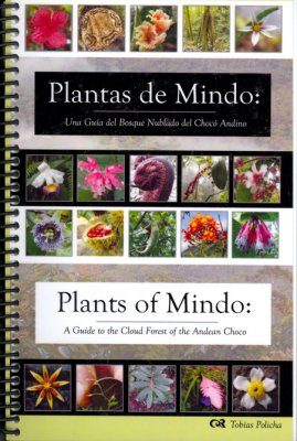 Plants of Mindo / Plantas de Mindo